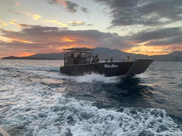 11m Aluminum Landing Craft Reinforced Hull Comfortable Cabin Landing Craft Boat Cargo Boat