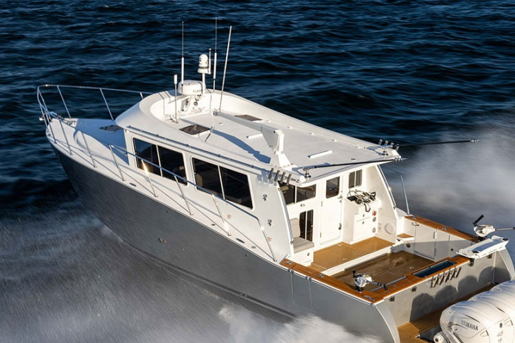 luxury catamaran boat