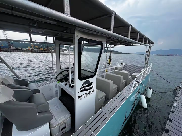 9m Console Landing Craft Carrying 5 Ton Cargo Boat Ferry Aluminum Landing Craft for Sales