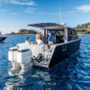 11.6m /38ft lifestyle aluminum Fishing boat for diving whale watching tourism