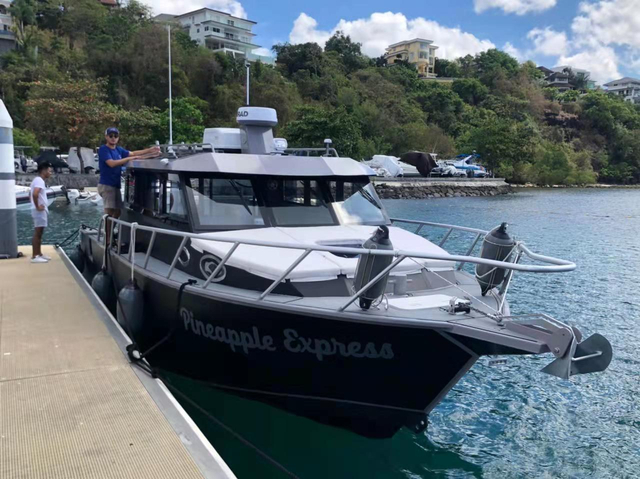 11.6m /38ft lifestyle aluminum Fishing boat for diving whale watching tourism