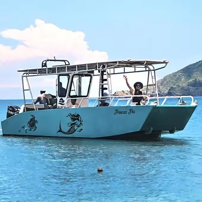 9m Console Landing Craft Carrying 5 Ton Cargo Boat Ferry Aluminum Landing Craft for Sales