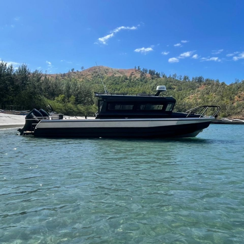 9m V Hull And Pontoon Cuddy Cabin Luxury Yacht Aluminium Fishing Boat