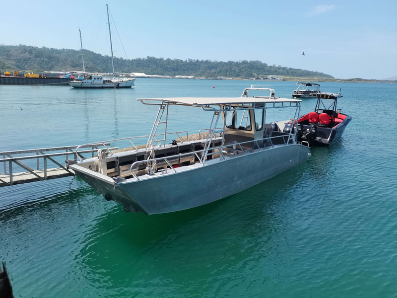 9m 30ft Aluminum Landing Craft 9m 30ft Loading Cargo Transportation Offshore Landing Boat - Allsealion Boat