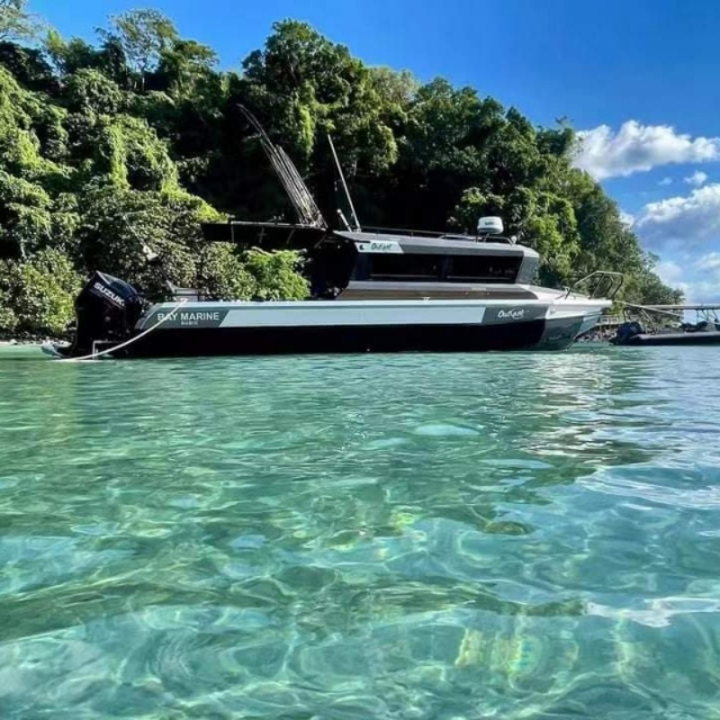9m V Hull And Pontoon Cuddy Cabin Luxury Yacht Aluminium Fishing Boat