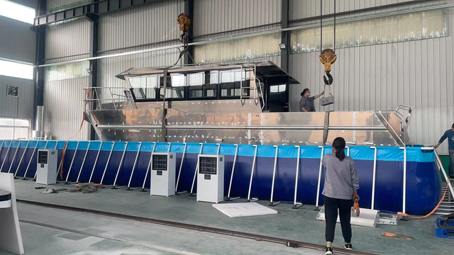 11.6m Aluminum Passenger Speed Yatch Luxury Catamaran Sail Boat Yacht