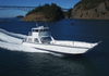 ALLSEALIONBOAT 14m Aluminum Landing Craft Barge for Sale