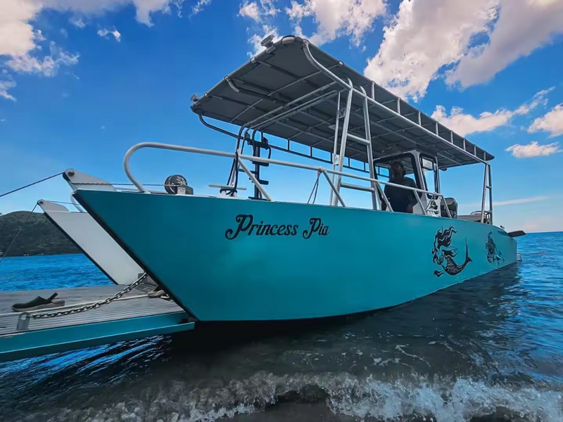 Gospel 6m 20ft Aluminium High Speed Cabin Fishing Boat
